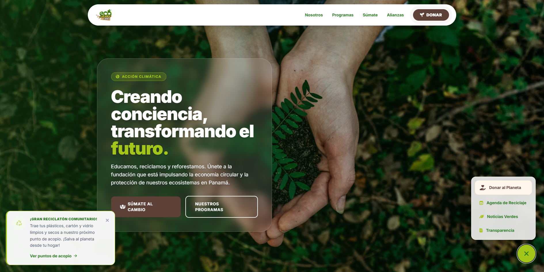 Propuesta para Fundación Eco Creando