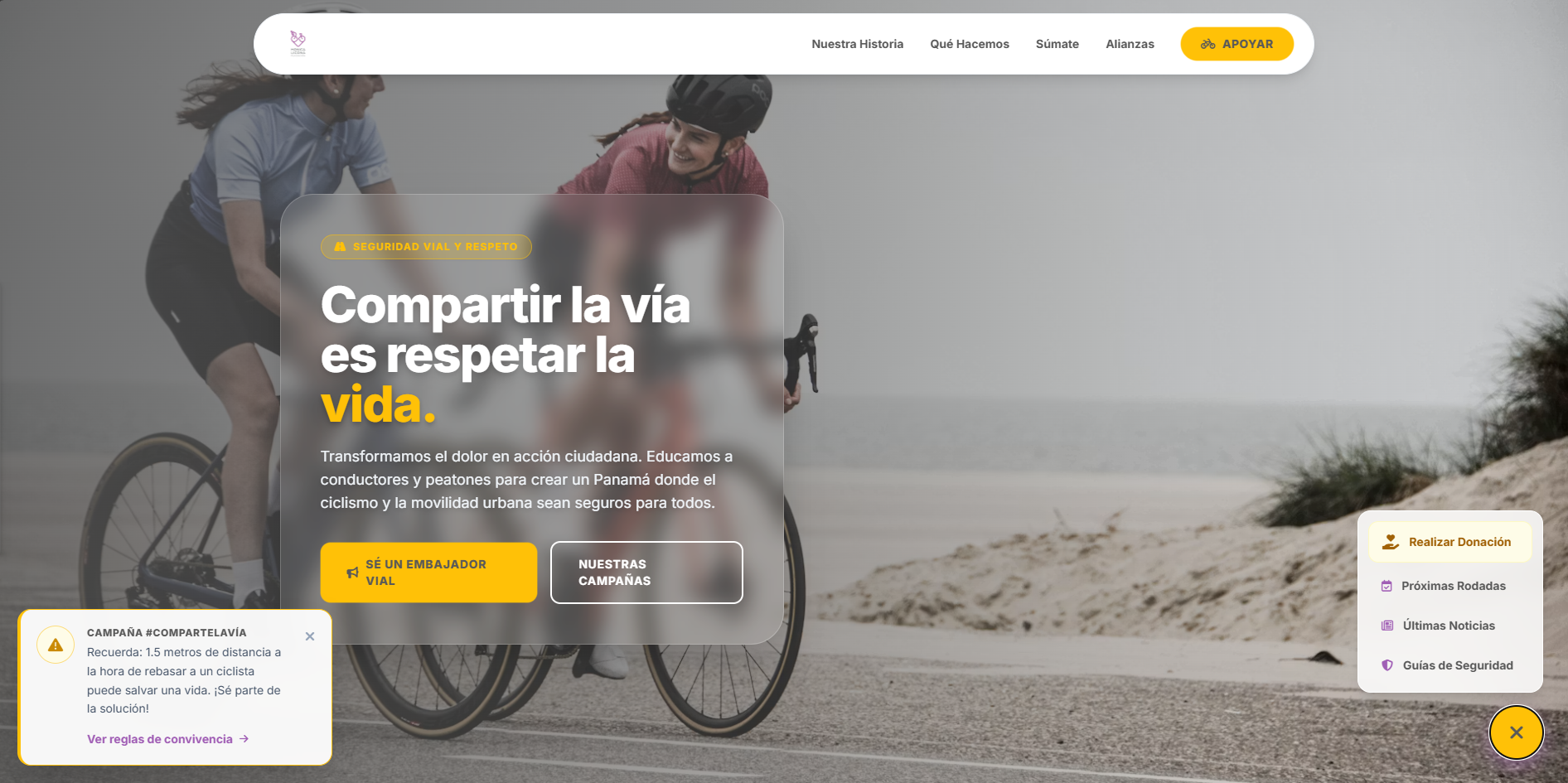 Propuesta para Fundación Mónica Licona